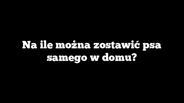 Na ile można zostawić psa samego w domu?
