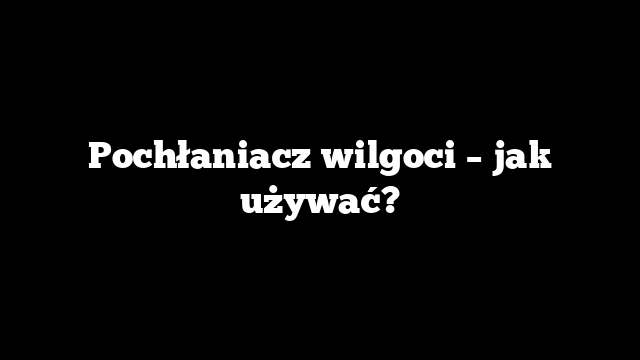 Pochłaniacz wilgoci – jak używać?