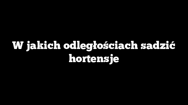 W jakich odległościach sadzić hortensje