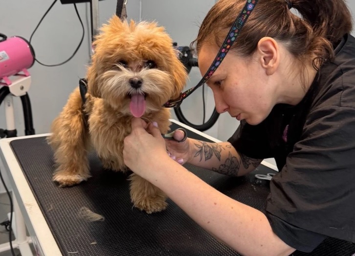 groomer